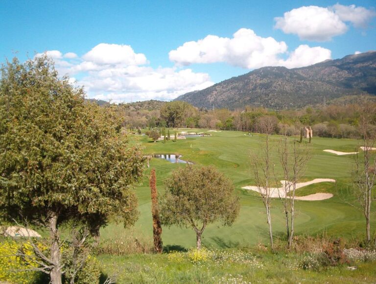 17492361_175236219652060_6326156510373961584_o