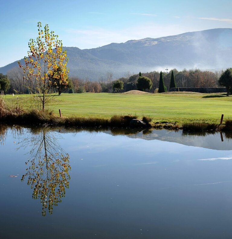 17492918_175236086318740_8129220325401146265_o