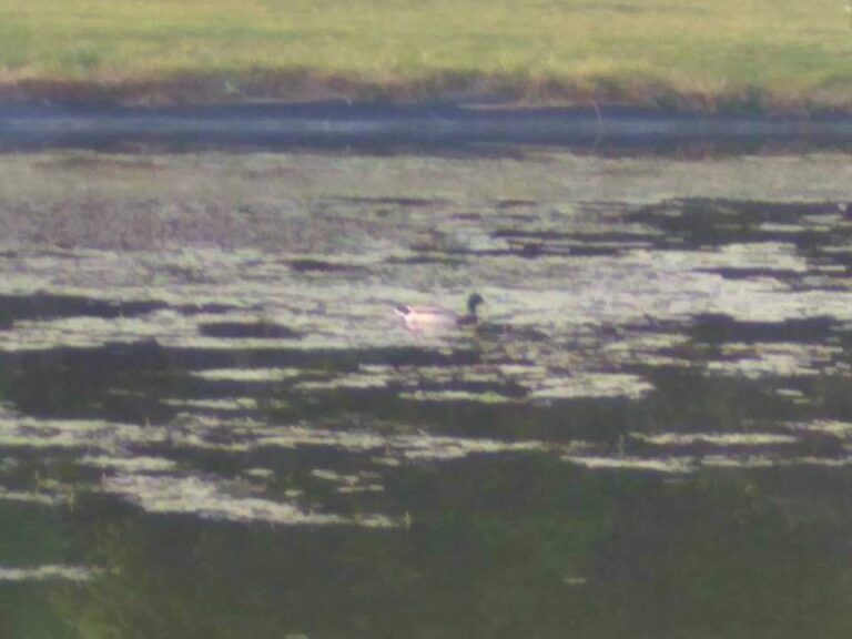 18119167_194994931009522_6625038378422045390_n